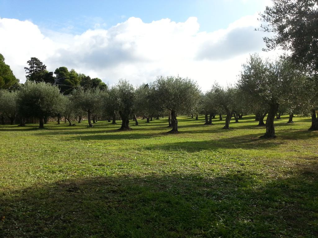 Serra E Mesu Affittacamere Magomadas 外观 照片